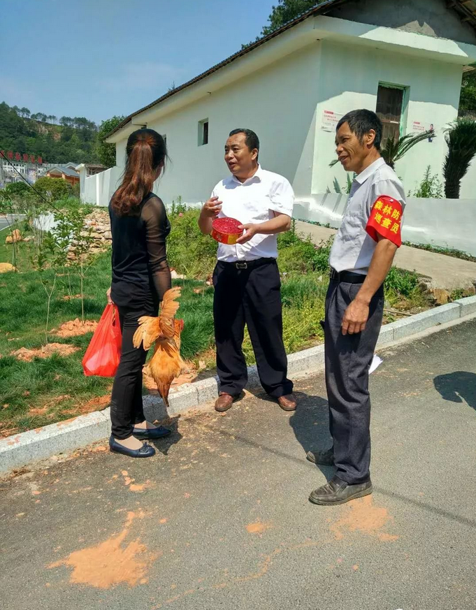明升mansion88(中国)手机版app下载