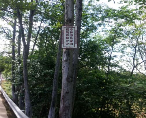 怎样做好夏日森林防火事情？洛带有这四大妙招